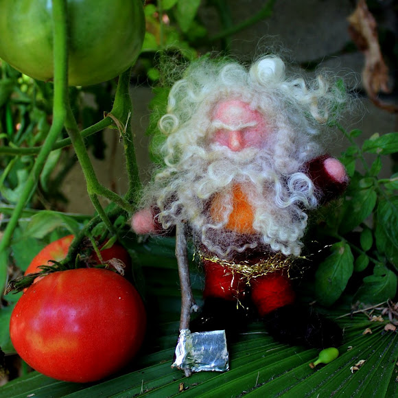 Jzin's curly white bearded felted gnome. square. Felting gnomes with Christine Newell. Fall Seasons Nature Table miniature doll. Wednesday morning craft group. Waldorf school of Orange County, California. CastleofCostaMesa.Com. 