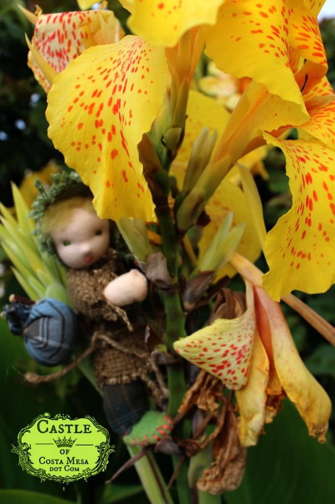 130927 The wanderer doll climbing a yellow tropical flower