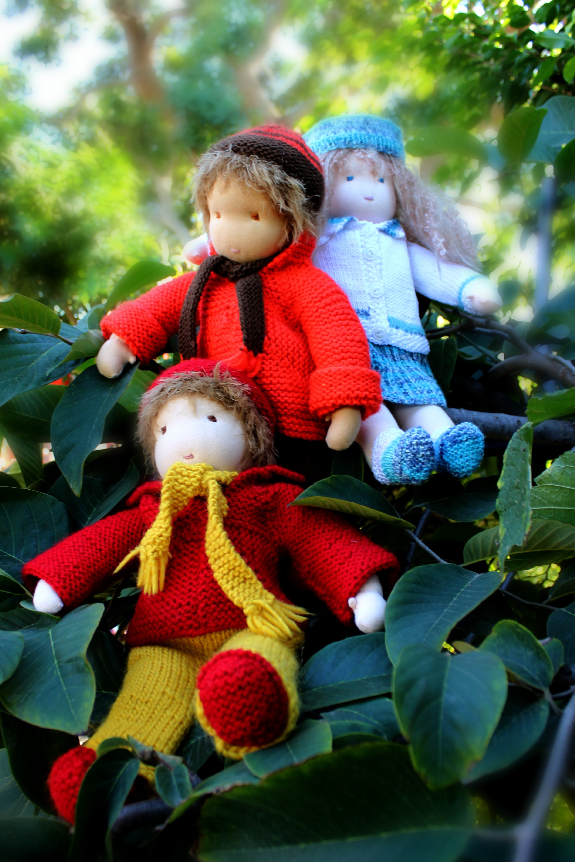 121219 Christine Newell's 3 16 inch Waldorf cuddle dolls sitting in the cherimoya tree 3