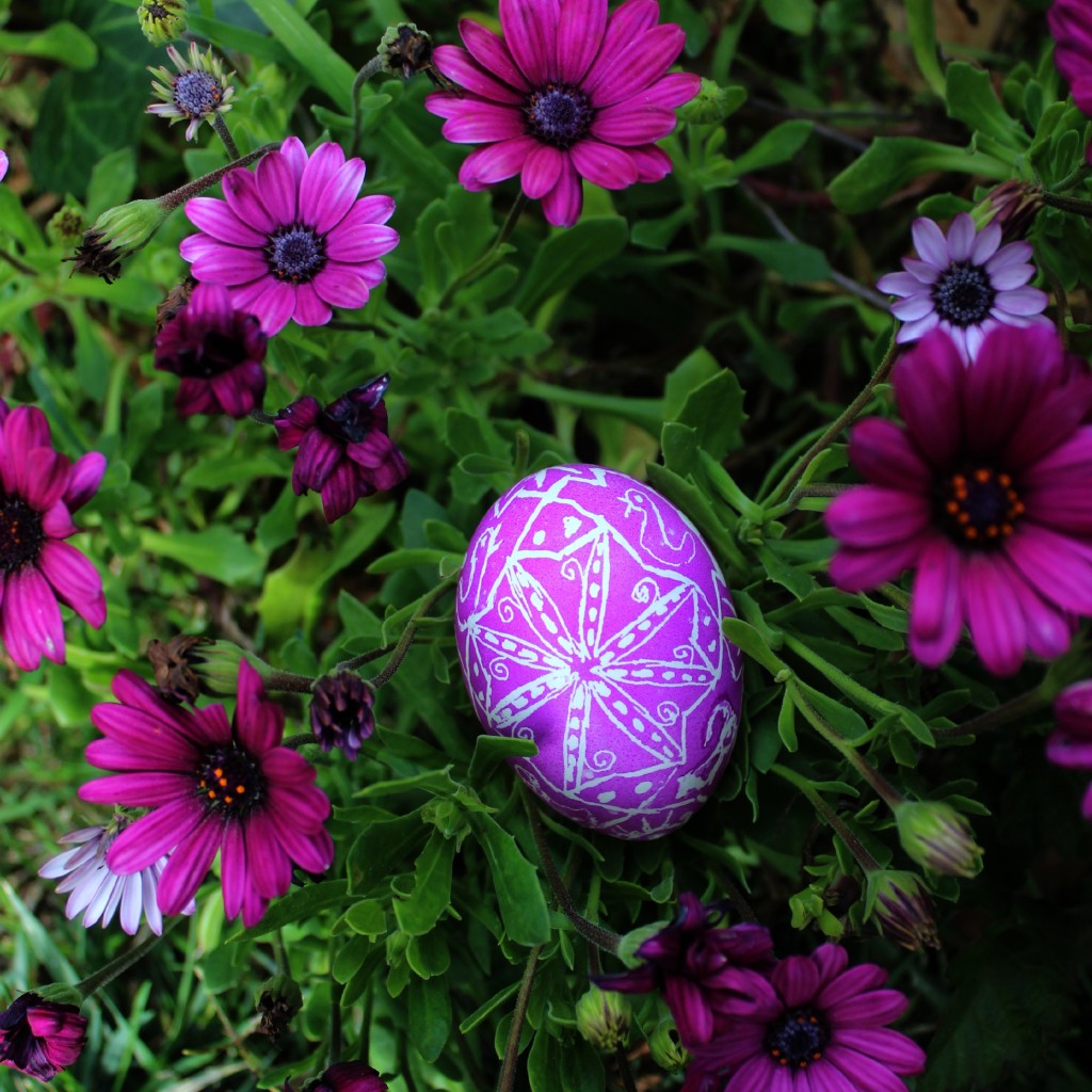 130320 Jzin's first handmade Ukranian egg for easter. Photo among purple daisies