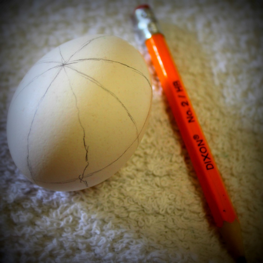130320 Marking sections on Ukrainian egg using a pencil
