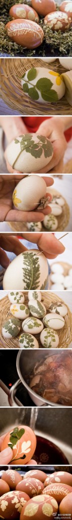 Leaf eggs on weibo. Nature has the best designs.