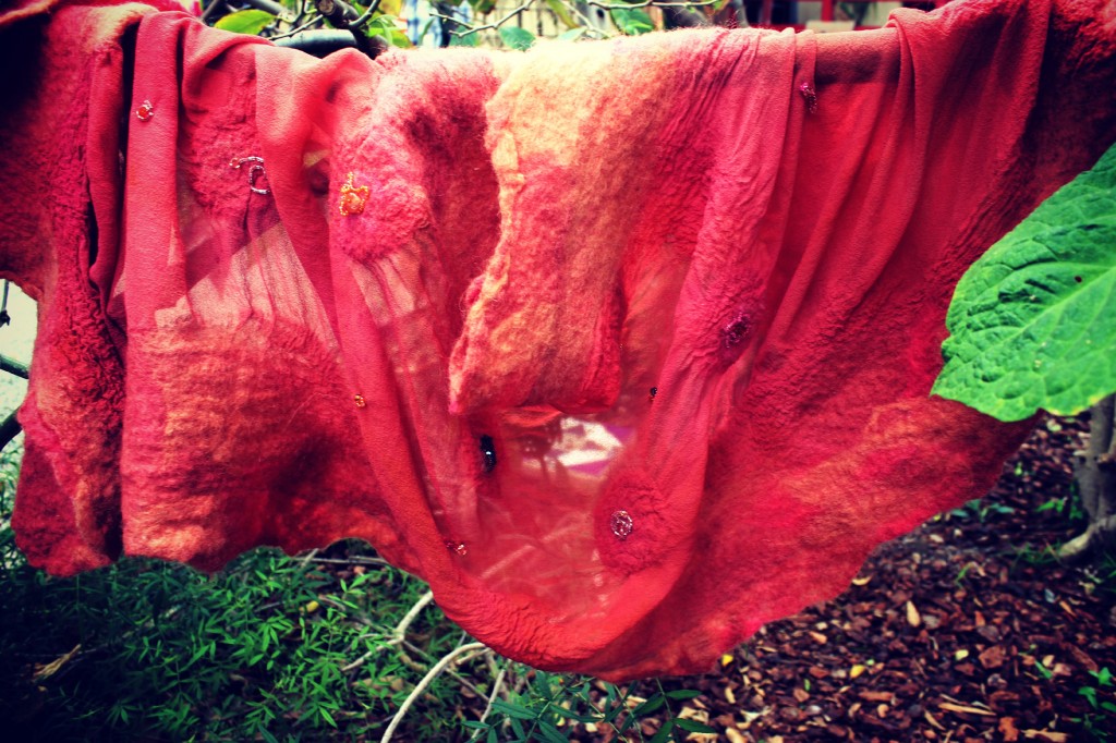 130605 Gisela's Nuno-felted salmon pink orange scarf on cherimoya tree