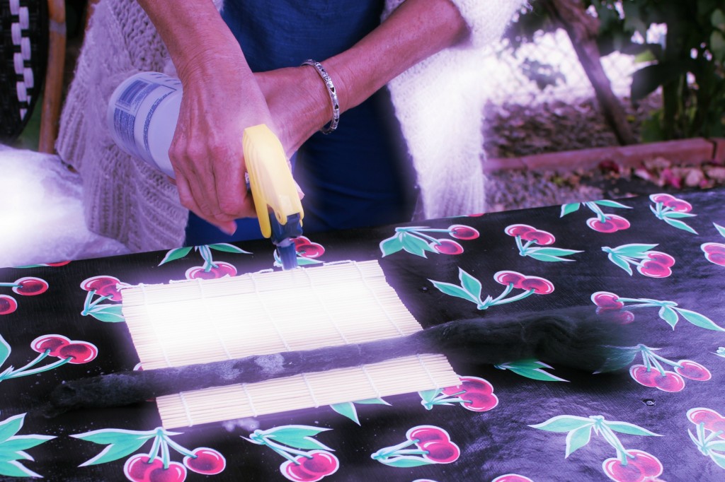 130605 Christine spraying flower stem with hot soapy water on sushi mat