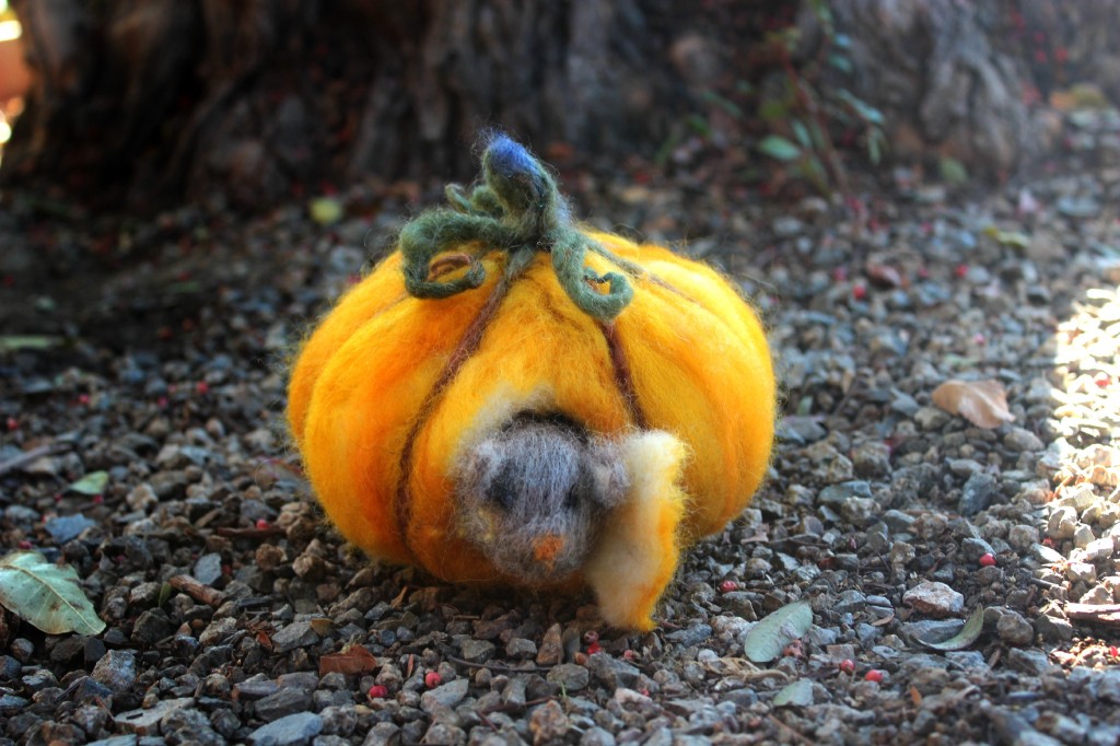 131015 Christine's dry needle-felted mouse in his pumpkin house with curly tendrils