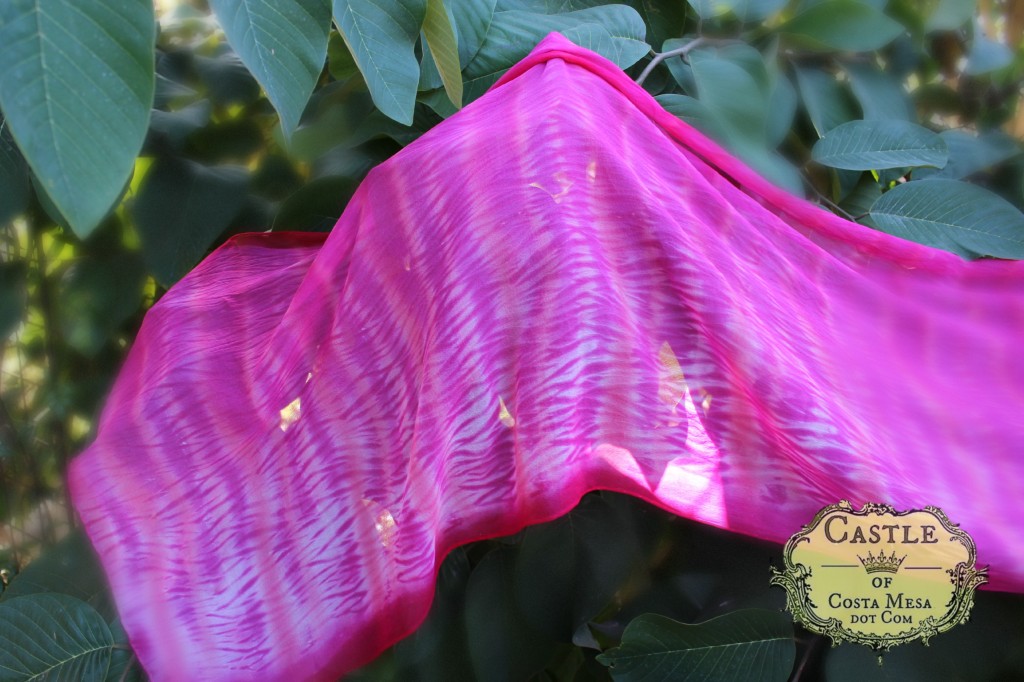 140114 Gisela's hot pink handmade arashi shibori silk chiffon scarf draping over cherimoya tree