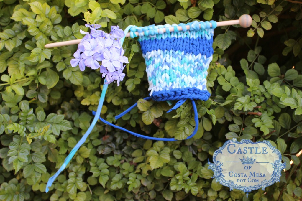 140915 Melissa's knitted T-shirt yarn rectangle in the plumbago hedge fence 2