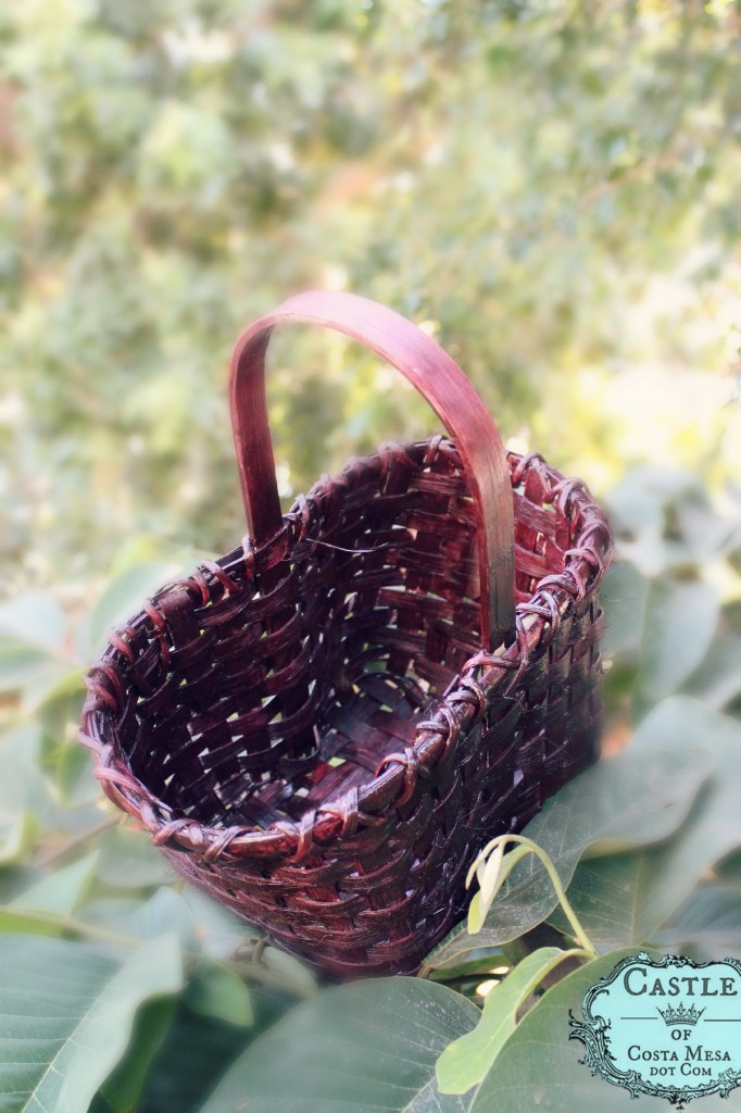 141007 Flat reed woven double wine bottle basket on cherimoya tree 2