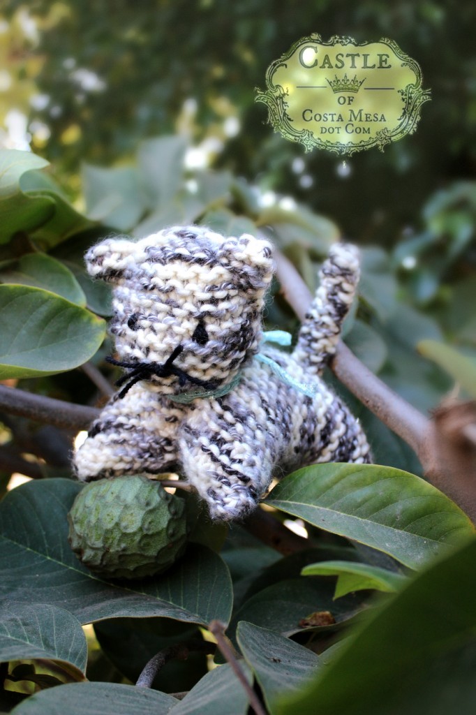 141007 Melissa's knitted calico grey cat playing with cherimoya on tree 2