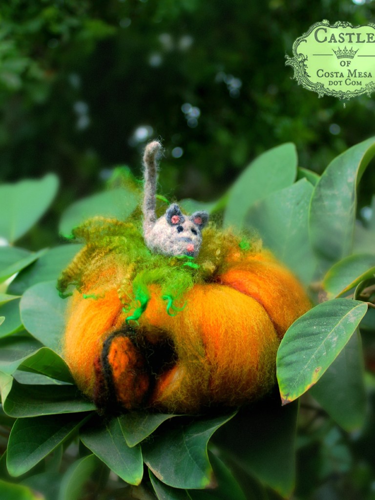 141020 Linda's grey mouse atop his pumpkin house 2