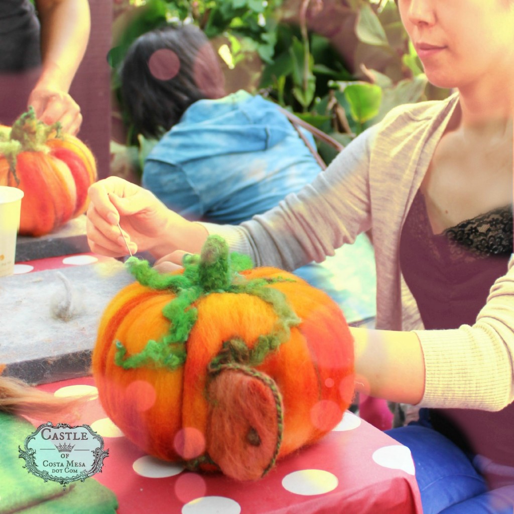 141021 Gloria's pumpkin with romantic curly foliage 
