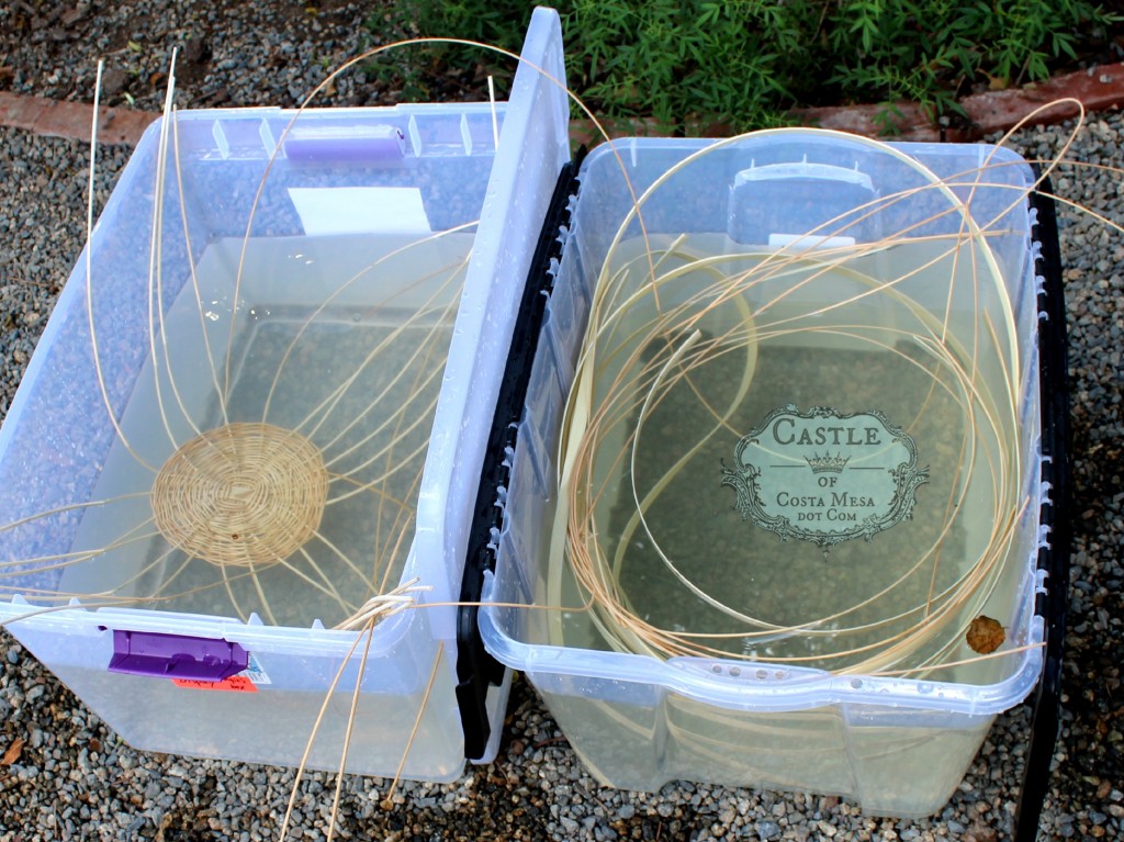 141027 soaking canes and reeds in water to make them soft flexible and pliable for weaving