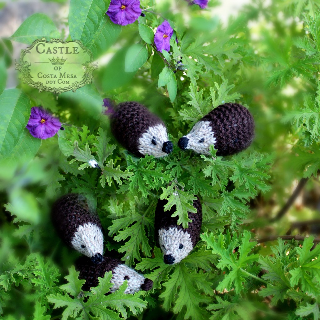 141028 Christine's knitted hedgehogs in the shrubbery