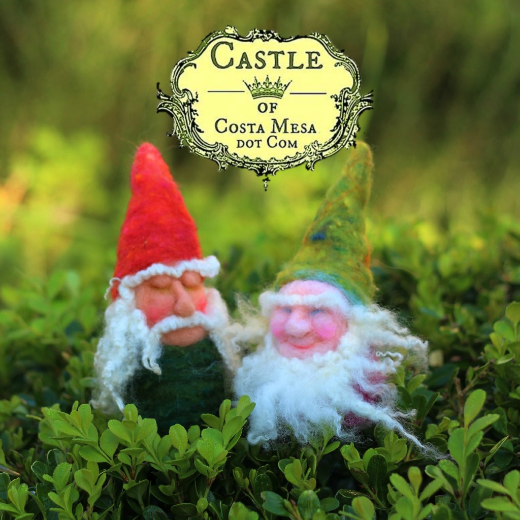 141209 gnome buddies Wigfrith and Æthelweard strolling on boxwood on a sunny morning