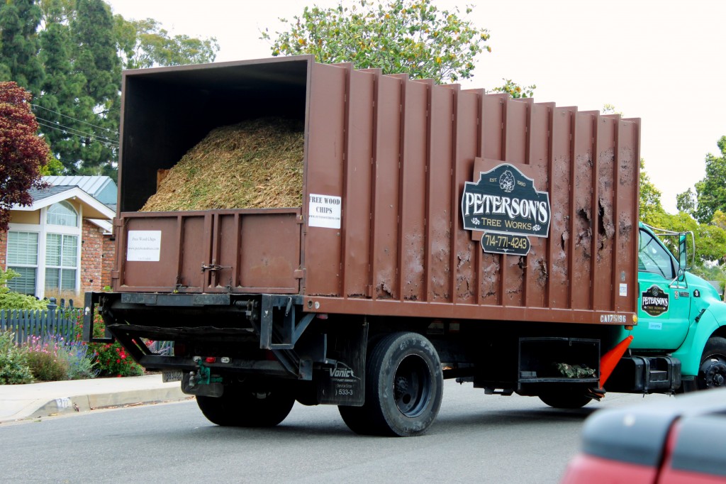 160607 Peterson's Wood Chips truck is here 6199