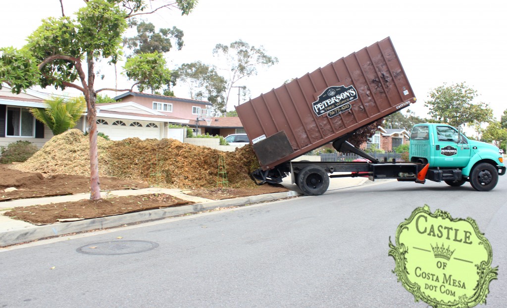 160607 Peterson's wood chip delivery 6206